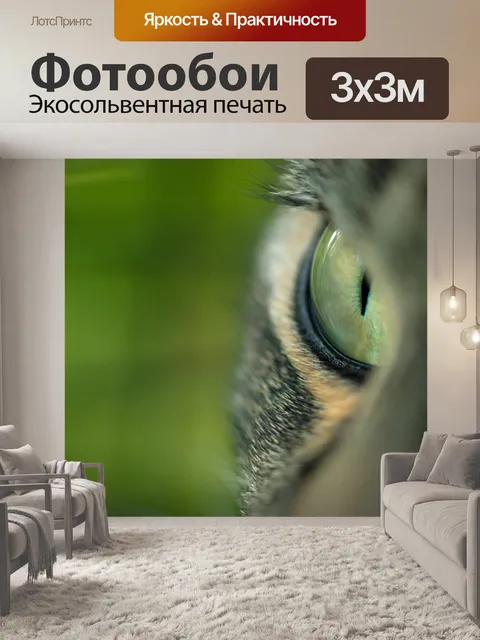 Фотообои Глаз кошки