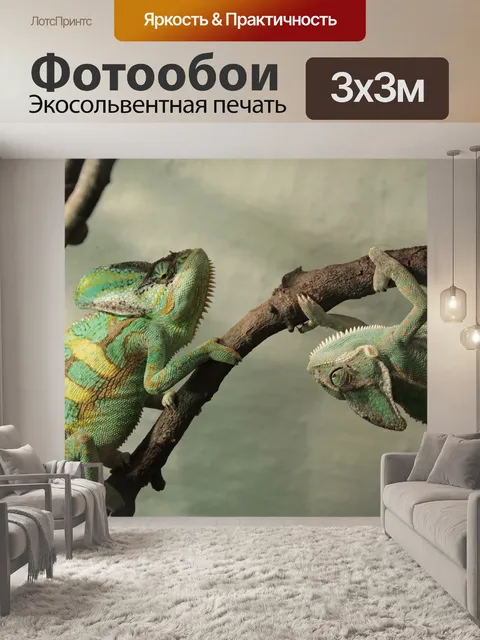 Фотообои Хамелеон
