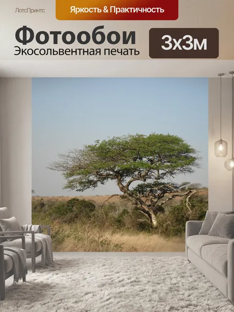 Фотообои Дерево