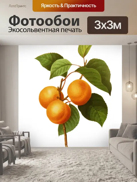 Фотообои Фрукты абрикоса Винтаж клипарт