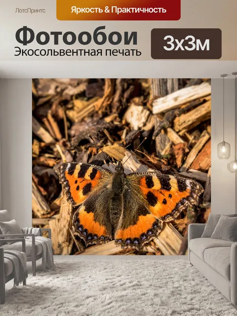 Фотообои Бабочка