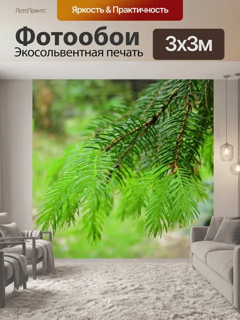 Фотообои Хвойное дерево