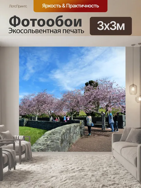Фотообои Сакура