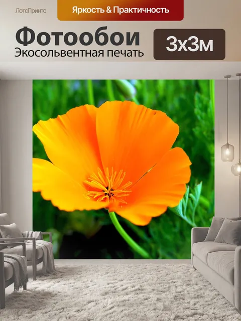 Фотообои Цветок
