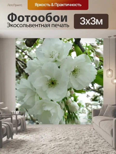 Фотообои Cherry Blossom Цветы