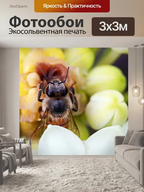 Фотообои деталь пчелы на белом орнитигале