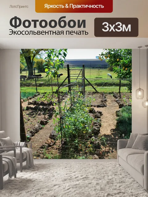 Фотообои овощей и травы сада