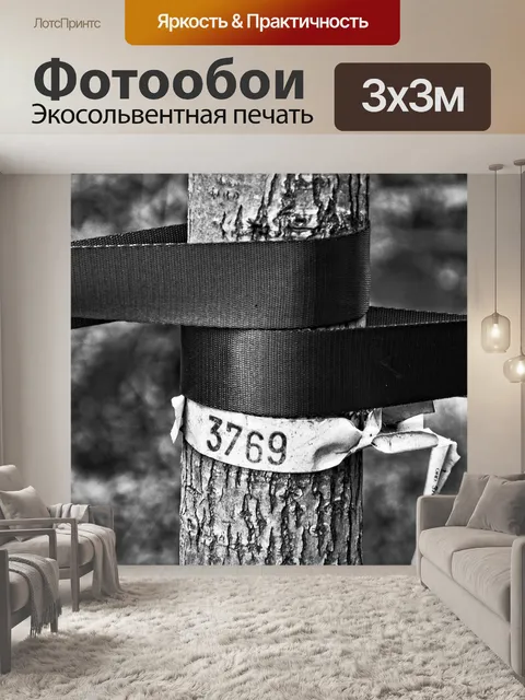 Фотообои Молодое дерево