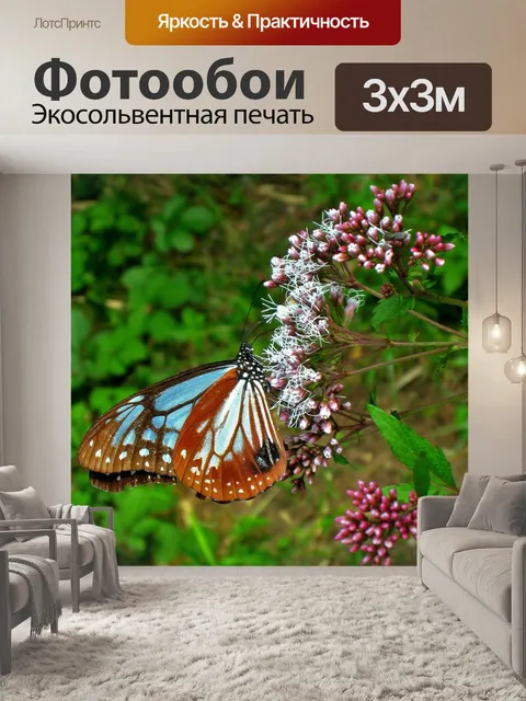 Фотообои Бабочка