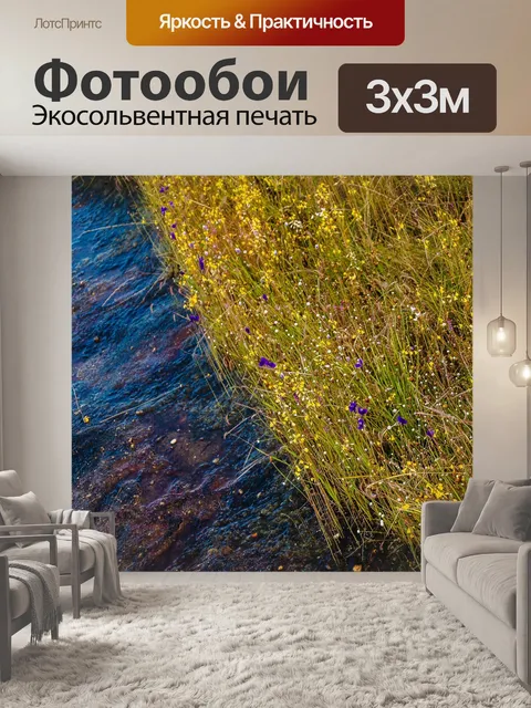 Фотообои Трава цветочное поле, полевые цветы