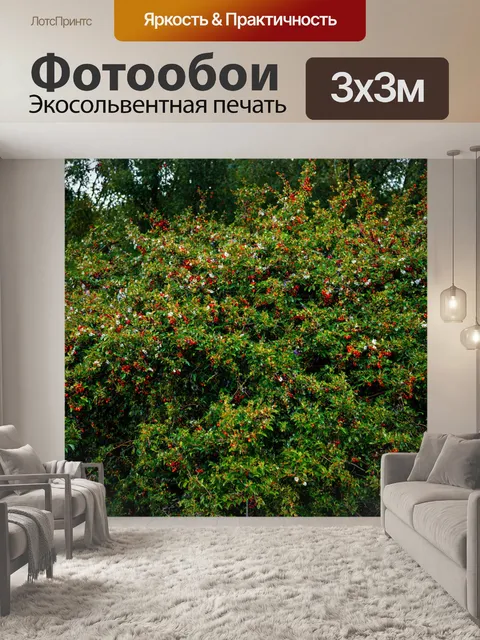 Фотообои лес с кустарниками, заросшими ягодами и цветами