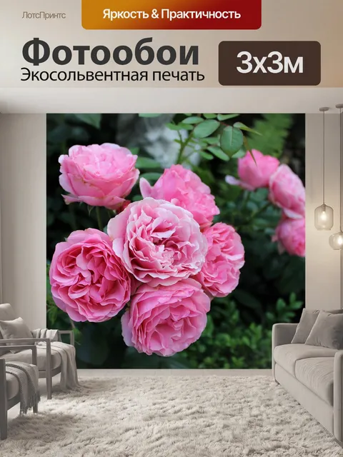 Фотообои Розы