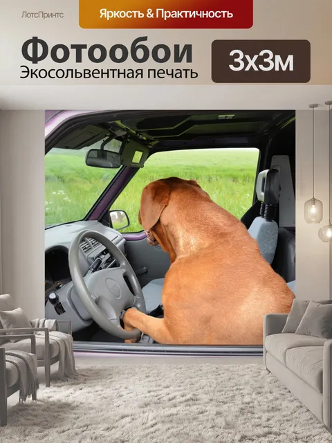 Фотообои Собаки привод 3