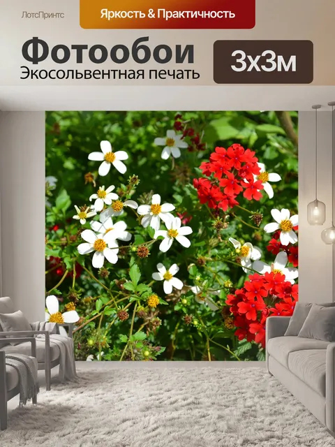 Фотообои Герань