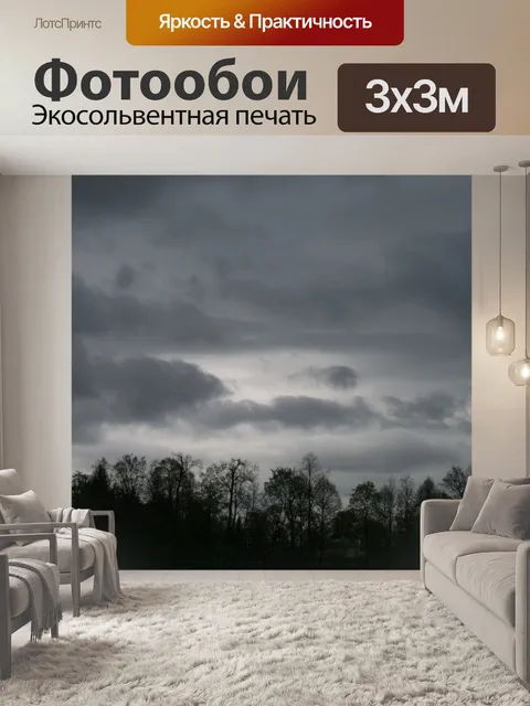 Фотообои серое небо над деревьями