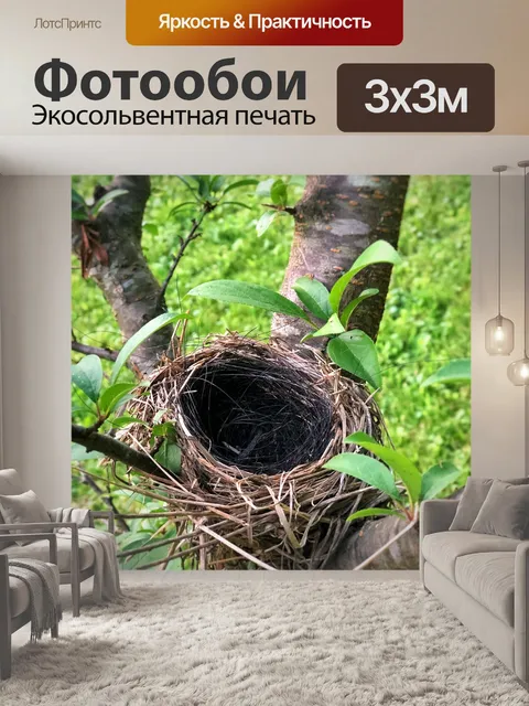 Фотообои Птичье гнездо