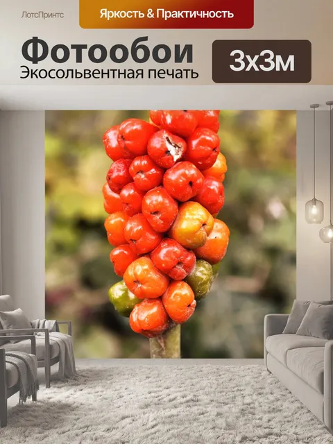 Фотообои Красные ягоды