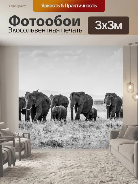 Фотообои Саванновый африканский слон