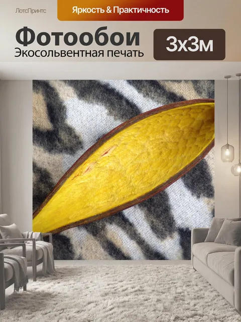 Фотообои желтая оболочка