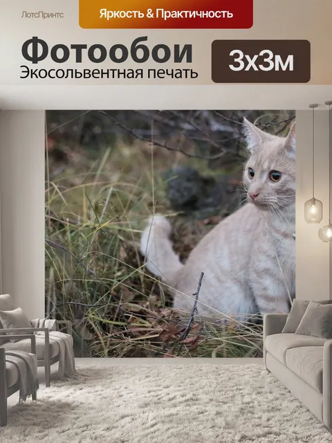Фотообои Кошка