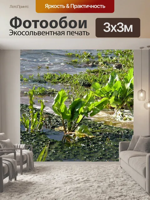 Фотообои Растения в воде
