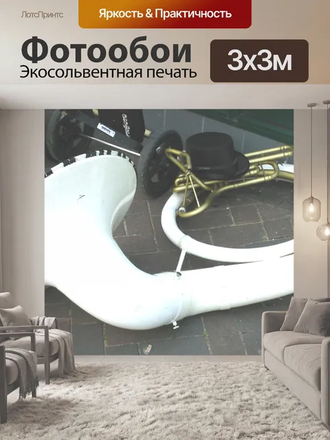Фотообои Эуфониум инструмент