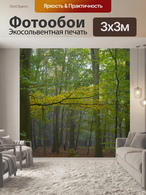 Фотообои Туманный лес