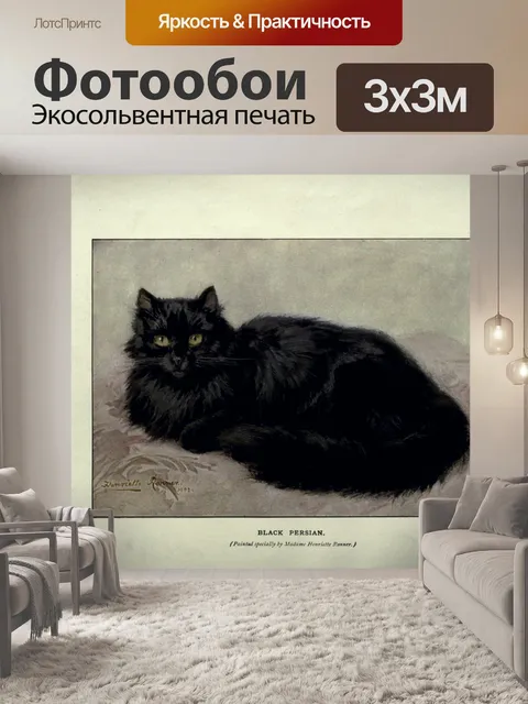 Фотообои Кошка котенок рисует старый