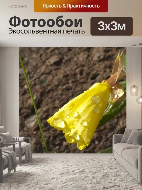Фотообои Примулы