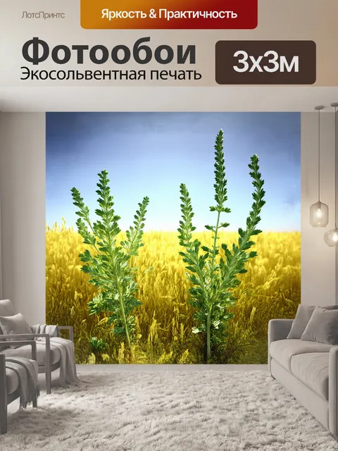 Фотообои флора степи представлена в виде шалфея лугового