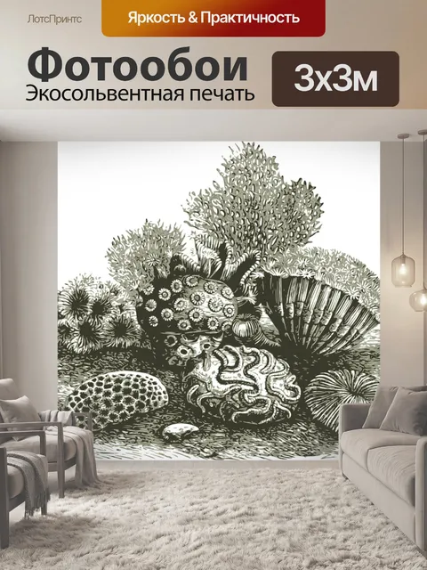 Фотообои Коралл