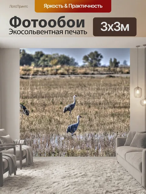 Фотообои Три крана
