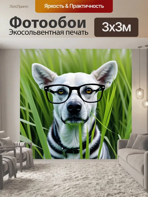 Фотообои зебра в очках на перечисленных травках