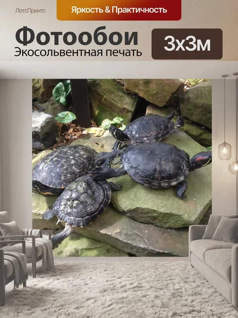 Фотообои Черепашки