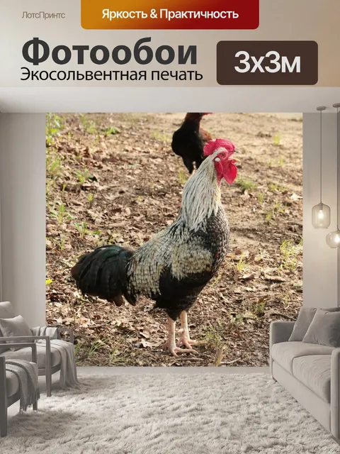 Фотообои Причудливый петух