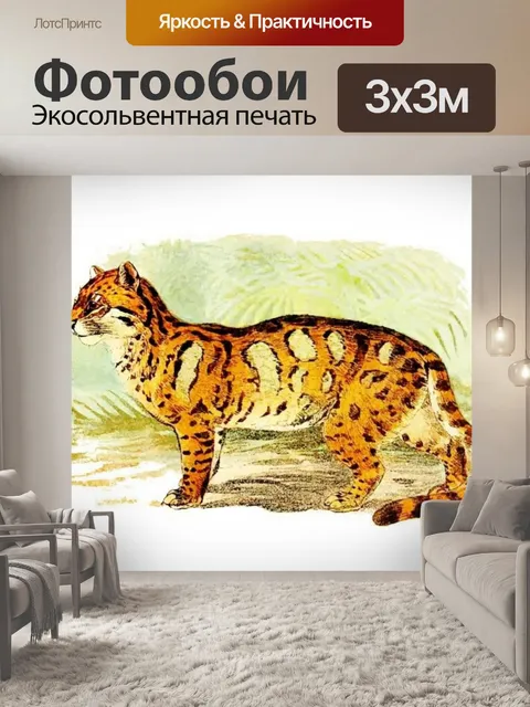 Фотообои Большая кошка кошка старинное искусство