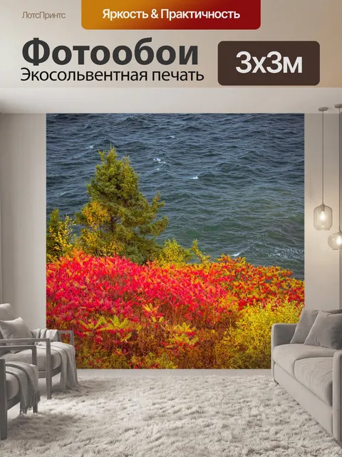 Фотообои Побережье осенью