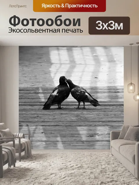Фотообои Любовь Птицы