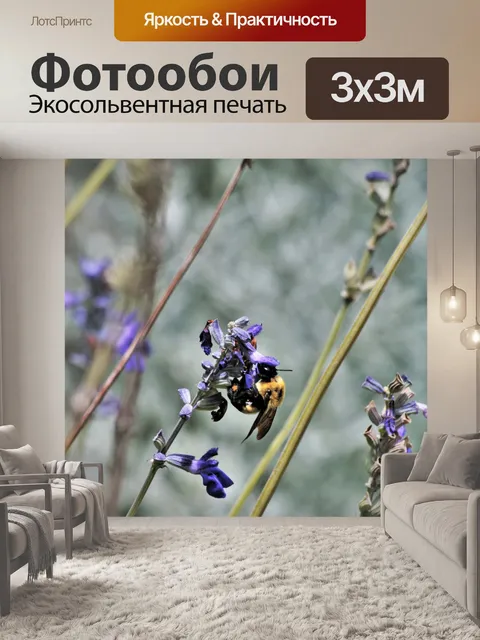 Фотообои Bumble Bee на синем цвете Salvia