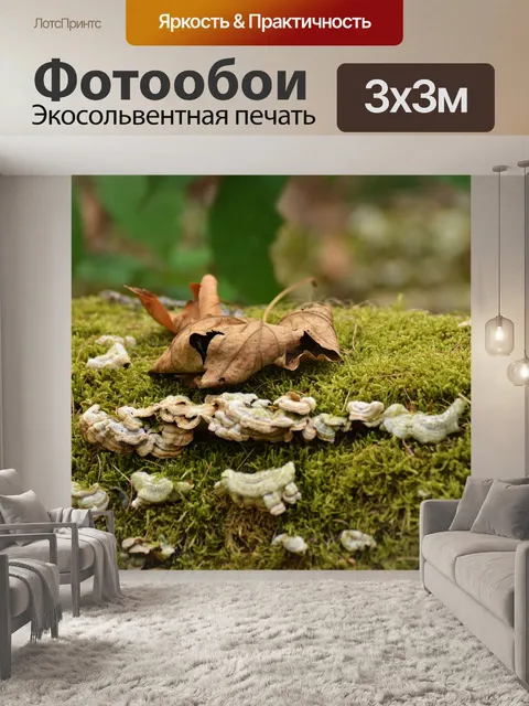 Фотообои Осенний лист