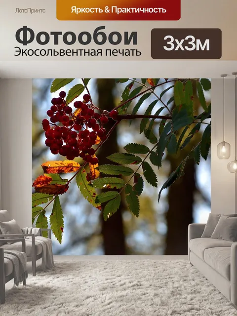 Фотообои Красные ягоды
