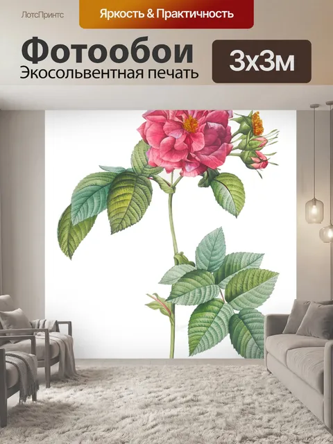 Фотообои Винтажная цветочная иллюстрация розы