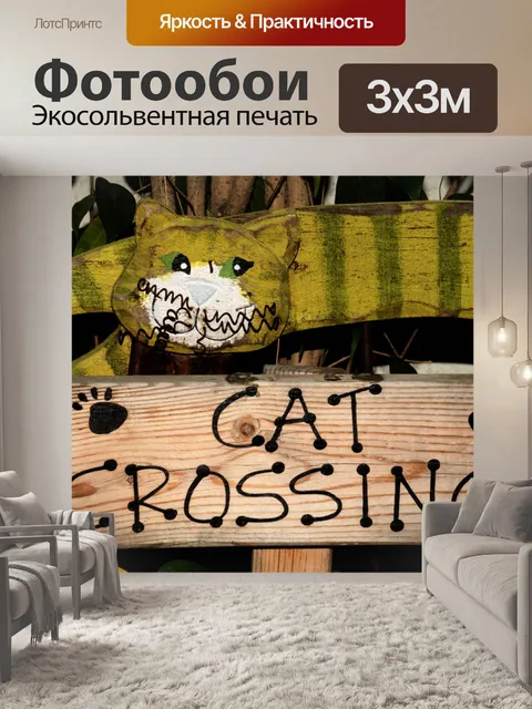 Фотообои Знак пересечения кошки