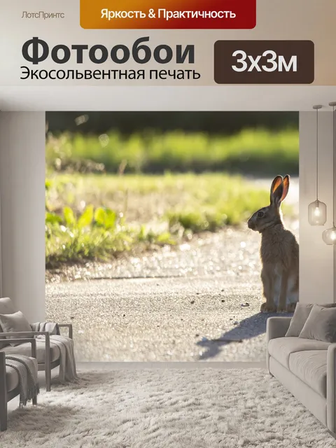 Фотообои Молодой заяц