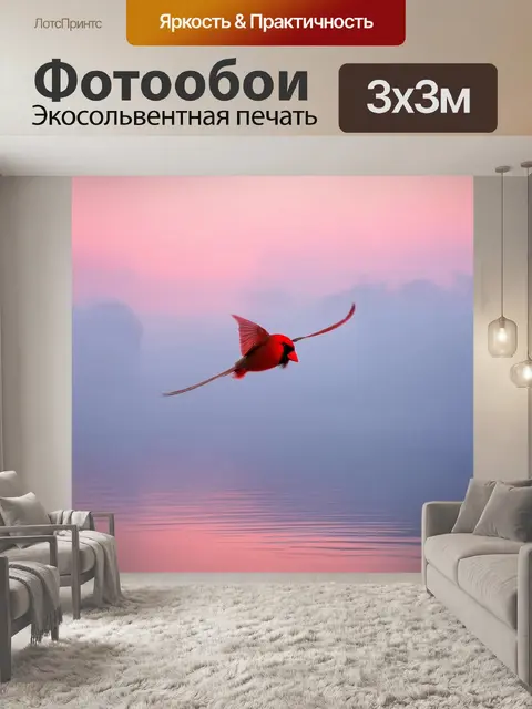 Фотообои элегантный кардинал, вылетающий из плотного тумана над озером на рассвете