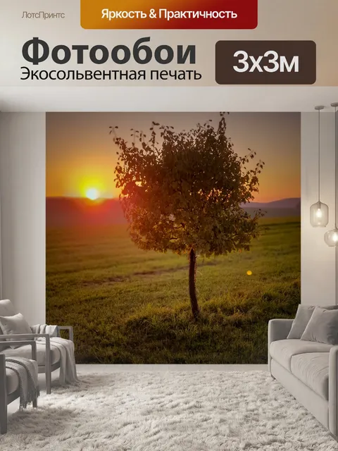 Фотообои Дерево на закате