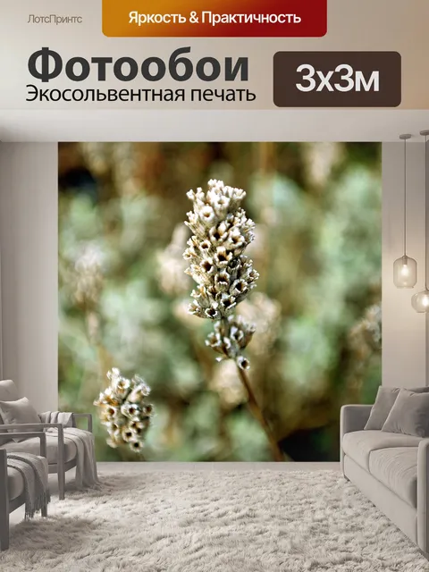 Фотообои Смерть завод