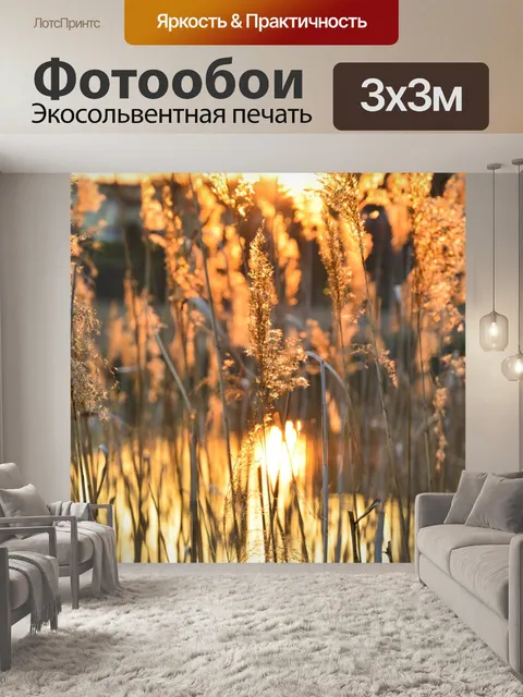 Фотообои Восход солнца