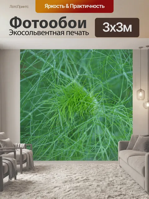 Фотообои Нежная зеленая трава