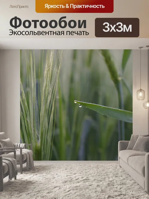 Фотообои Пшеница
